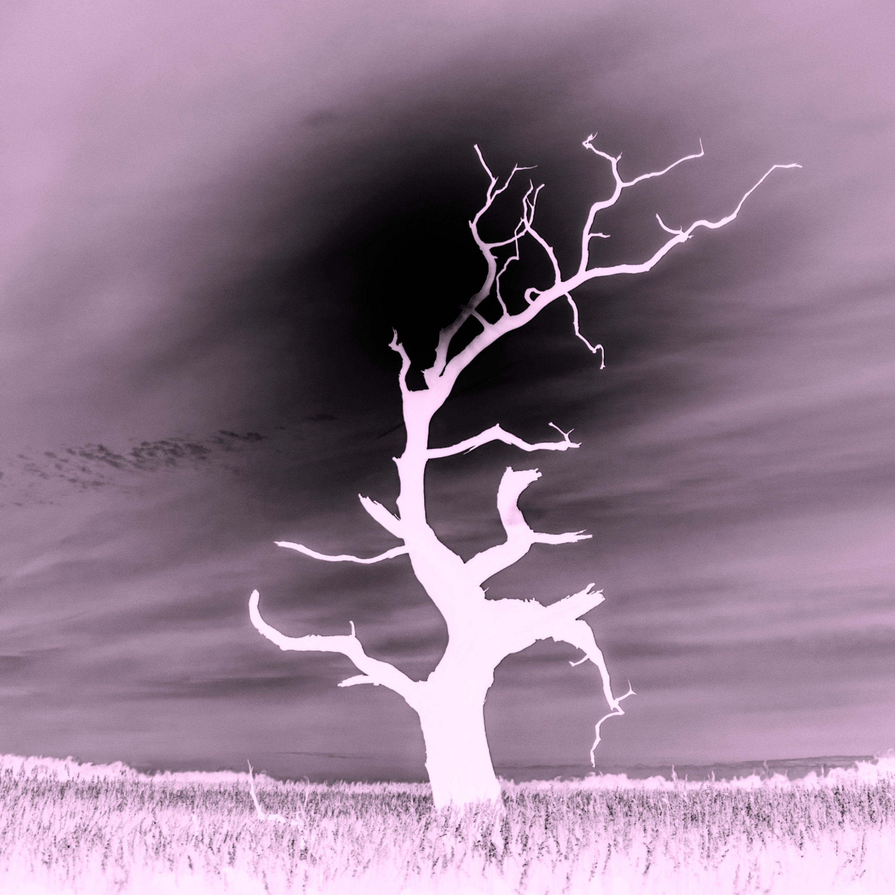 Flammarion - Single