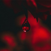 DRIP (feat. DRIPPIN SO PRETTY & KCSB) - Single - YUNG DODO