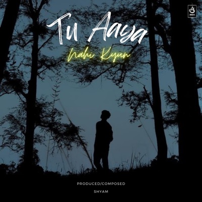 Tu Aaya Nahi Kyun (feat. Shyam Avtar) - Single