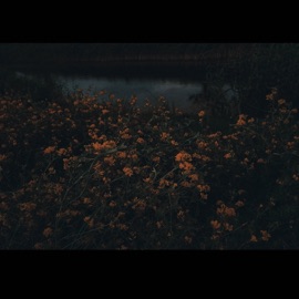 маслаю Кульпарківська