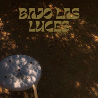 Bajo las Luces - Single - hazzelOg