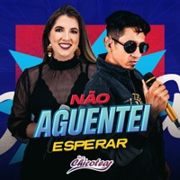 Não Aguentei Esperar - Single - Forró Chicotear