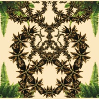 Aruanda (Duc In Altum Remix) [feat. SekoBass, Coy Freitas, Dudu Marote & Fabião Soares] - Single - XAXIM & Duc In Altum