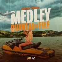 Medley Quintal da Filé - Single - Pretão Dj & GH DO ABC