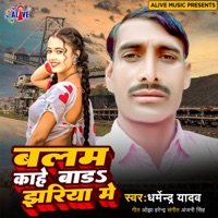 Balam Kahe Bada Jharia Me - Single - Dharmendra Yadav