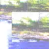 Ynot