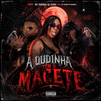 A DUDINHA TEM O MACETE (feat. Fabuloso) - Single