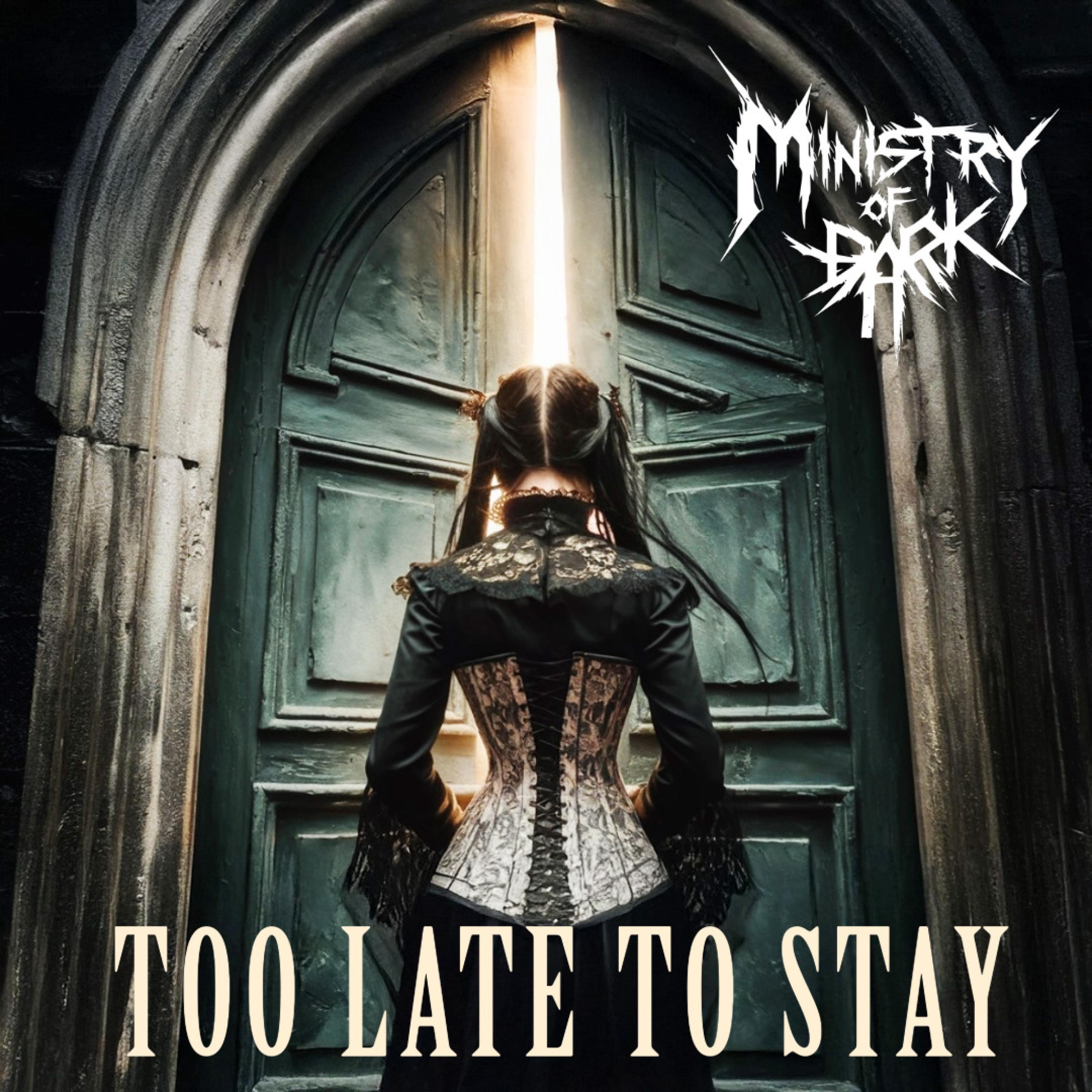 Too Late To Stay - Single