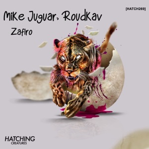 Zafiro - Single
