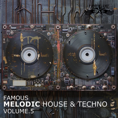 Famous Melodic House and Techno, Vol. 5
