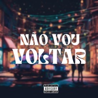 Não Vou Voltar - Single - Pretiin.zo, EXYZOE & Hit House