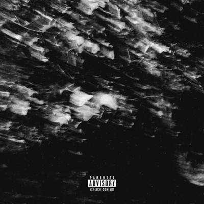 Pájaro Herido - Single