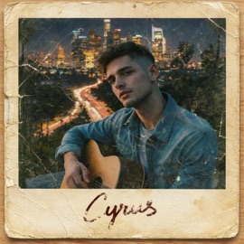 The Little Things (feat. Cyrus) [B-Reel Late Night Remix] P.E.T.S