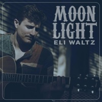 Moonlight - Single - Eli Waltz