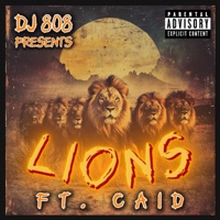 Lions (feat. Caid) - Single - DJ 808