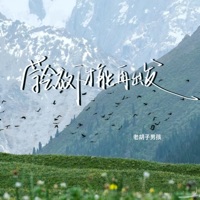 学会放下才能再出发 - Single - 老胡子男孩