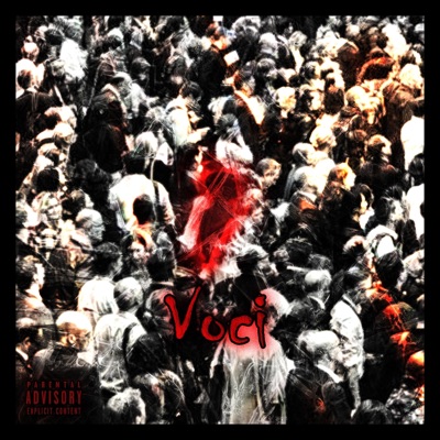 Voci (feat. Kingpin & Seby G) - Single