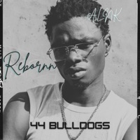 44 Bulldogs (feat. ALNK) - Single - Rebornn