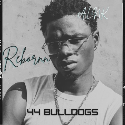 44 Bulldogs (feat. ALNK) - Single