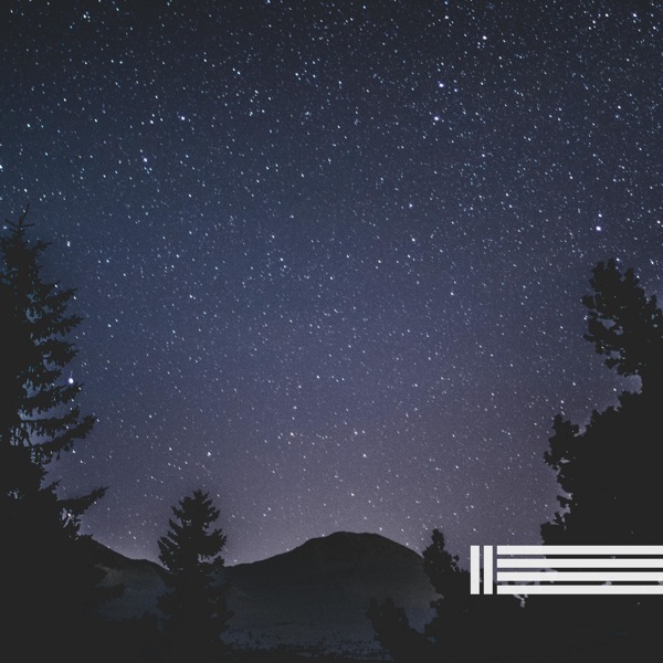 Calming Sounds of Night Crickets