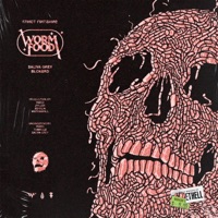 WORM FOOD - Blckbrd & Saliva Grey