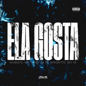 Ela Gosta (feat. MC Kr Ofc)