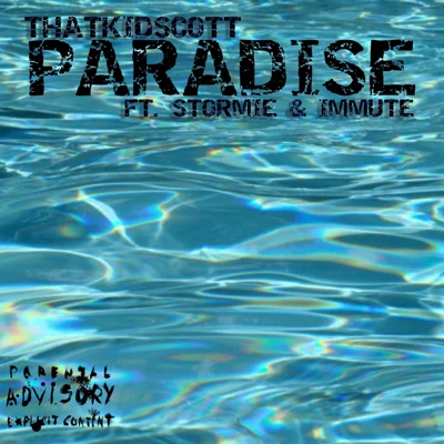 Paradise (feat. STORMIE & Immute) - Single