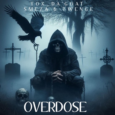 Overdose (feat. SmeZa & Twenge) - Single
