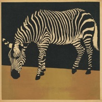 Palm Tree - Single - Behrooz Zandi