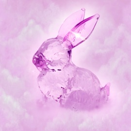 PATIENCE & FAITH Stef de Haan