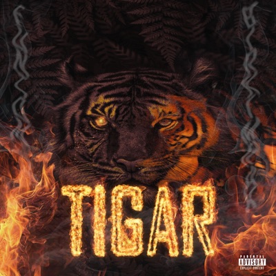 Tigar (feat. BirkiMrak) - Single