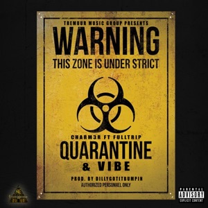 Quarantine & Vibe