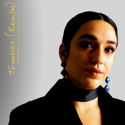 Troubles (Remix) [feat. Roni Bar Hadas] - Single