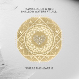 Shallow Waters (Dub Mix) David Hohme, N2N & JiLLi