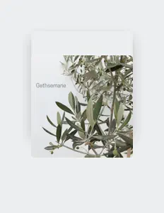 Listen to Hayden Thompson, watch music videos, read bio, see tour dates & more!