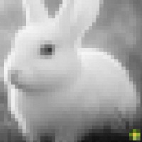 SE SIENTE BIEN - Single - Zizzy