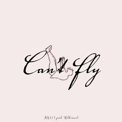 Can't Fly - Single