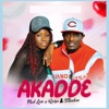 Akadde - Single