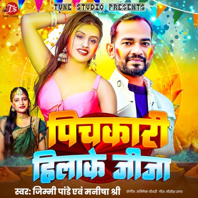 Pichkari Hila Ke Jija - Single