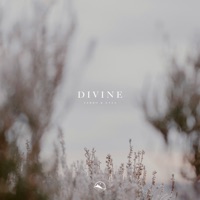 Divine - Single - terro & Etza