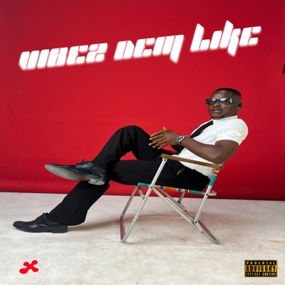 Vibez Dem Like - EP