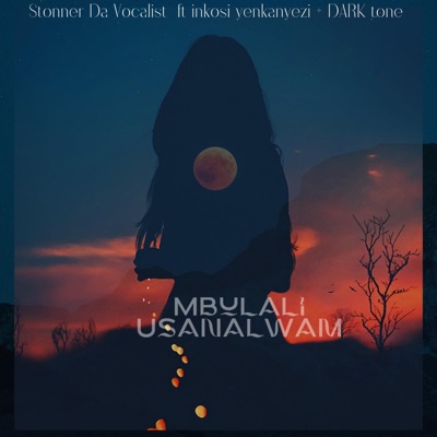 Mbulali Usanalwam (feat. Dark tone DT & Stonner da Vocalist) - Single