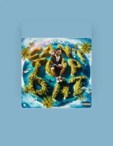 聆聽 Lavoidd、觀看音樂影片、閱讀小傳、查看巡演日期等！