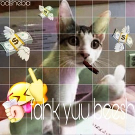 fahk yuu beesh (prod me) AVIATOR