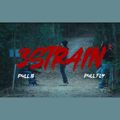 3STRAIN (feat. P4LL.B & Flymingo) - Single