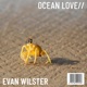 Ocean Love Chill Mix Single