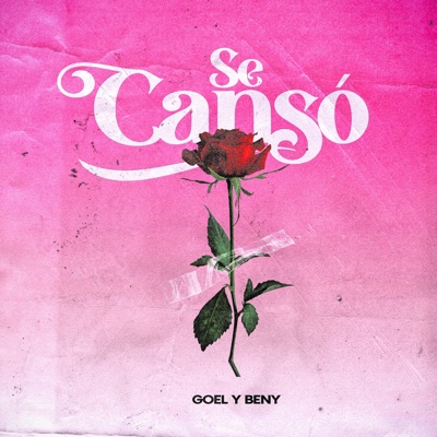 Se Cansó - Single