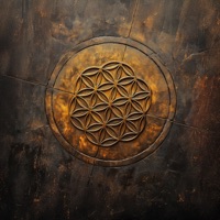 Bazı Gerçekler - Single - Tan Taşçı