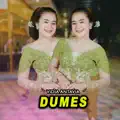 Dumes