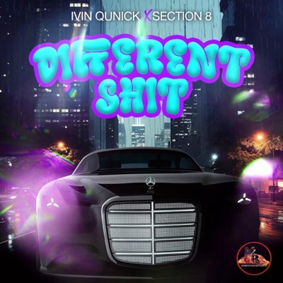 DiffrentShit (feat. Section 8) - Single